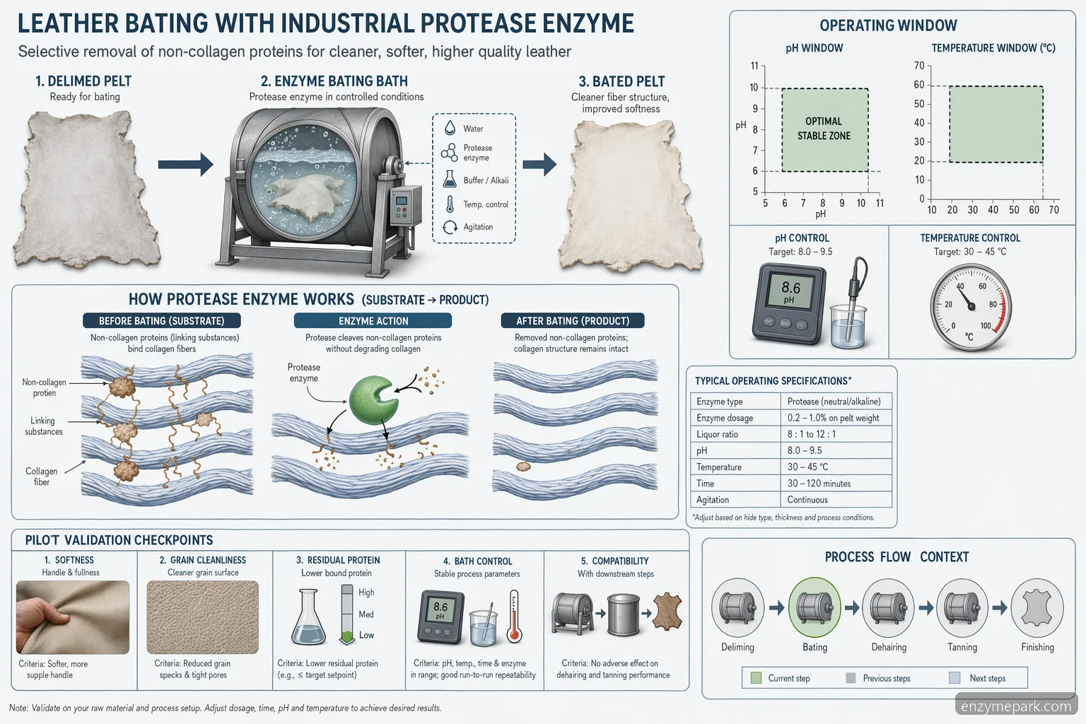 bating enzyme leather process diagram with pH-temperature window, reaction flow, and pilot QC checkpoints