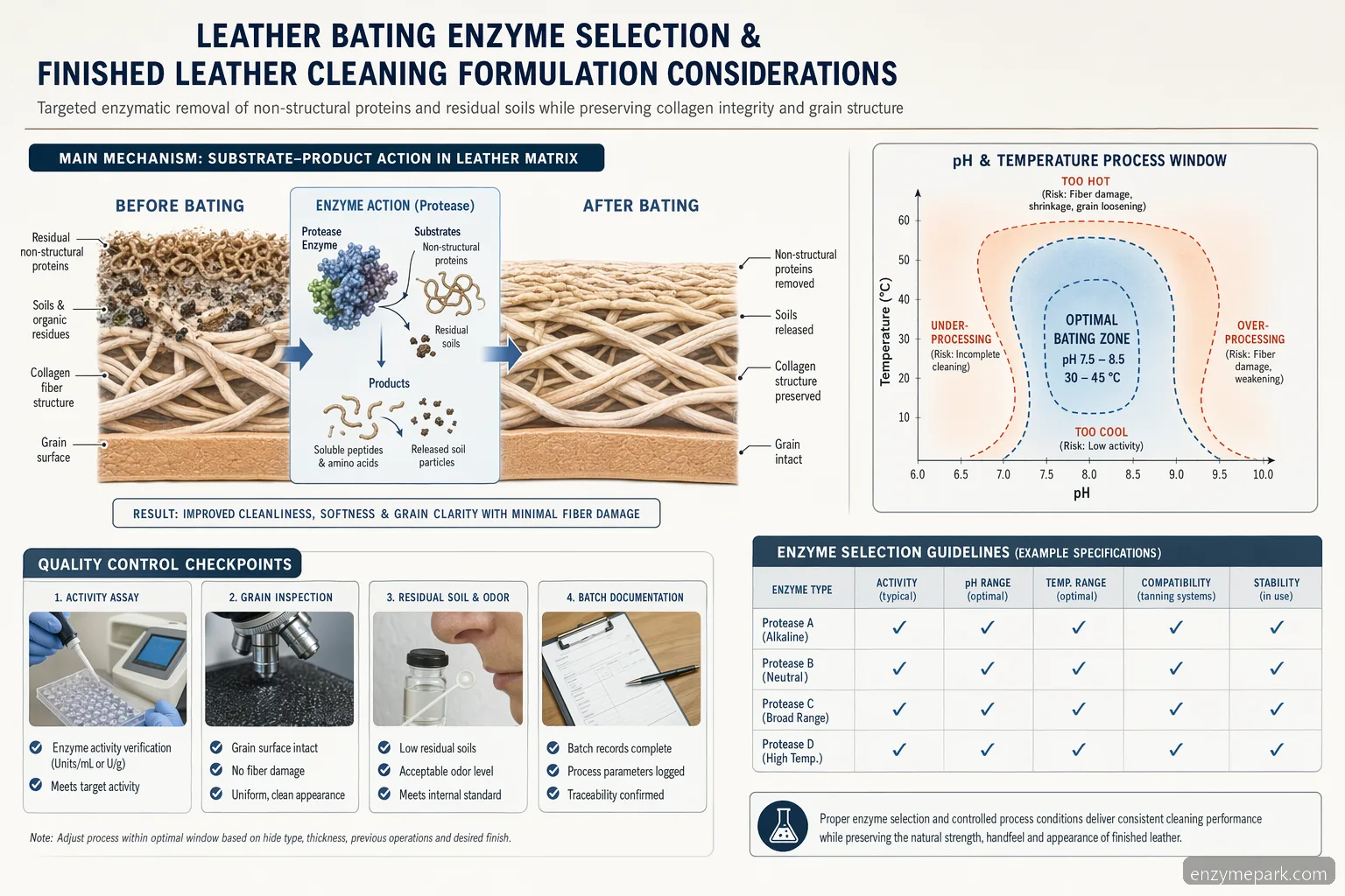 enzyme cleaner for leather couch bating process, pH-temperature window diagram with substrate arrows and QC checkpoints
