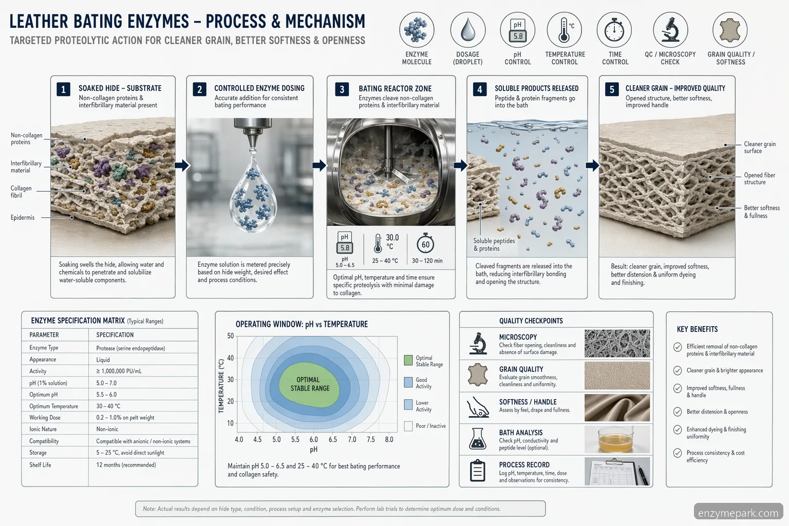 enzyme cleaner for leather bating process diagram with pH, temperature, enzyme dosing, and substrate-to-grain-quality flow