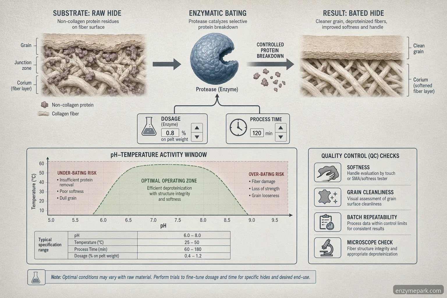 leather enzymes for leather bating process control guide mapping pH, temperature, dosage, and softness outcomes
