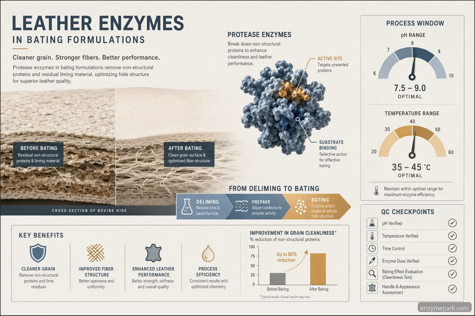 leather enzymes bating formulations infographic showing process window, grain cleanliness, QC, and cost-in-use